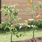 Plantenstok Spiraal 20 St