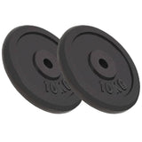 Halterschijven 2 St 2X15 Kg Gietijzer