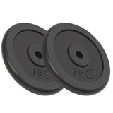 Halterschijven 2 St 2X15 Kg Gietijzer