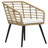 Tuinstoelen Met Kussens Poly Rattan Kleurig