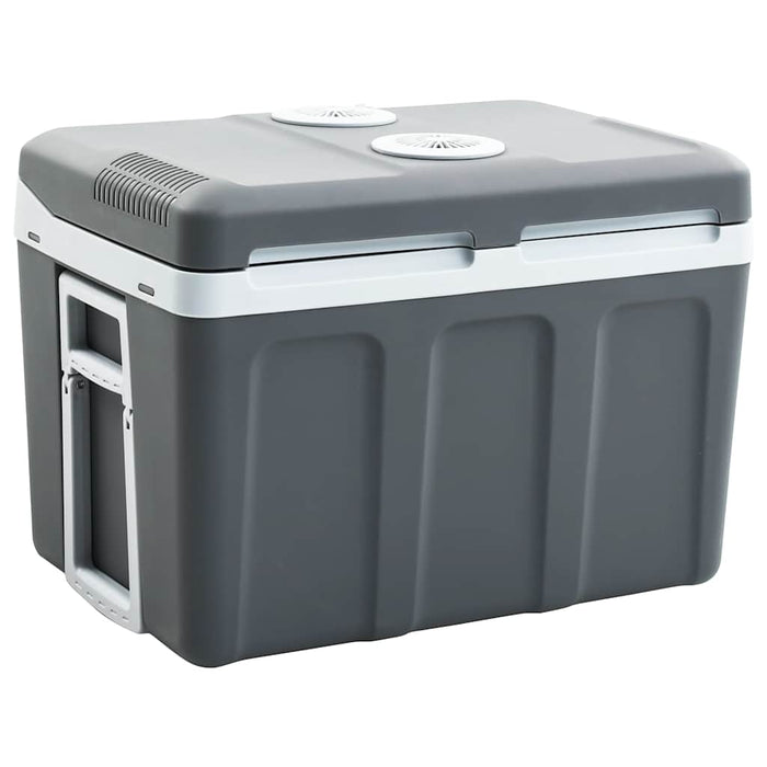 Koelbox Thermo-Elektrisch Draagbaar 12 V 230 V E