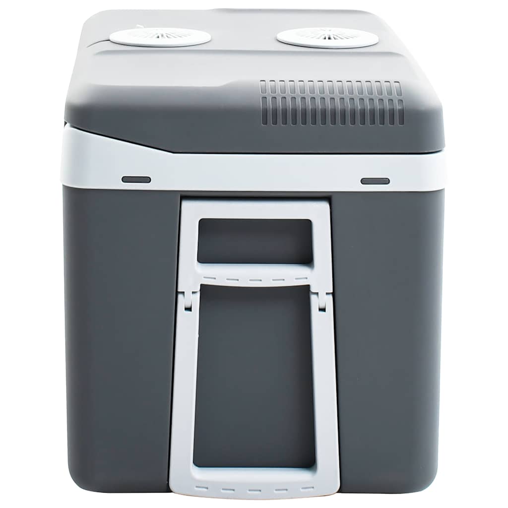 Koelbox Thermo-Elektrisch Draagbaar 12 V 230 V E