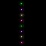 Lichtslinger Met 600 Led's Pvc Pastel Meerkleurig