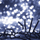 Lichtslinger Cluster Met 400 Led's 7,4 M Pvc Koudwit En Donkergroen