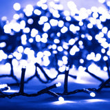 Lichtslinger Compact Met 3000 Led's Pvc Blauw En Donkergroen