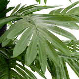 Palmboom Led 252 Led's Warmwit