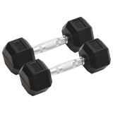 Halters 30 Kg Gietijzer