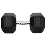 Halters 30 Kg Gietijzer