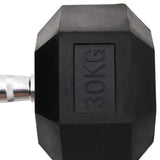 Halters 30 Kg Gietijzer