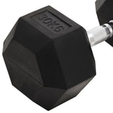 Halters 30 Kg Gietijzer