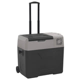 Koelbox Met Wielen En Adapter Polypropeen Zwart En Grijs