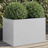 Plantenbakken Staal Kleurig