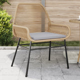 Tuinstoelen Met Kussens Poly Rattan