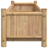 Plantenbak 100X30X25 Cm Bamboe