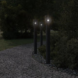 Buitenvloerlamp 110 Cm Roestvrijstaal Zwart