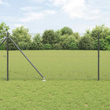 Gecombineerd Draadhek Met Spikes 25 X 1 M Pvc-Gecoate Staal Grijs