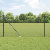 Gecombineerd Draadhek Met Spikes 25 X 1 M Pvc-Gecoate Staal Grijs