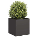Plantenbak Staal Zwart