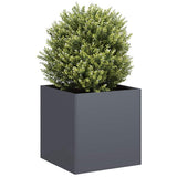 Plantenbak Staal Kleurig Antraciet