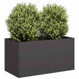 Plantenbak Staal Zwart