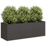 Plantenbak Staal Zwart