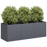 Plantenbak Staal Kleurig Antraciet
