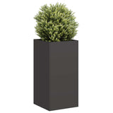 Plantenbak Staal Zwart