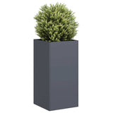 Plantenbak Staal Kleurig Antraciet