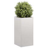 Plantenbak Roestvrij Staal