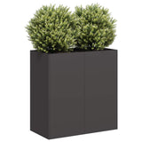 Plantenbak Staal Zwart