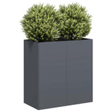 Plantenbak Staal Kleurig Antraciet