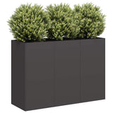 Plantenbak Staal Zwart