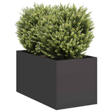 Plantenbak Staal Zwart