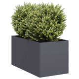 Plantenbak Staal Kleurig Antraciet