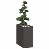 Plantenbak Staal Zwart