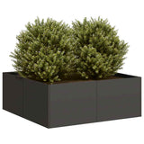 Plantenbak Staal Zwart