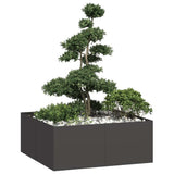 Plantenbak Staal Zwart