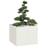 Plantenbak Koudgewalst Staal Wit
