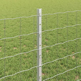 Euro Fence Met Paal 10 X 0,8 M Mesh Gegalvaniseerd Staal