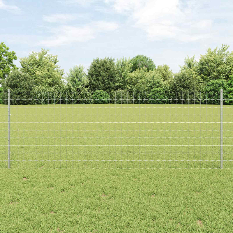 Euro Fence Met Paal 10 X 0,8 M Mesh Gegalvaniseerd Staal