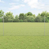 Gelast Draadhek Met Palen 10 X 0,8 M Mesh Gegalvaniseerd Staal