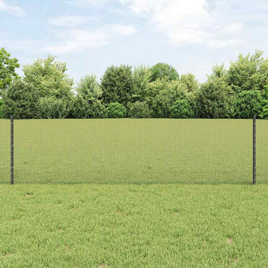 Gelast Draadhek Met Palen 10 X 1 M Gegalvaniseerd Staal Grijs