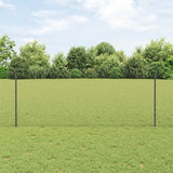Gelast Draadhek Met Palen 10 X 1 M Gegalvaniseerd Staal Grijs