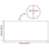 Sportbeschermmat Zwart 243 X 152 X 0,6 Cm Hoogwaardige Pvc