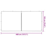 Party Tent Zijwand 2 Pcs Pe En Staal